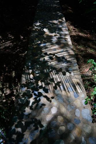 a walkway with rocks and shadows on the ground at Roam Yoga & Wellness Lodge in Bocas del Toro