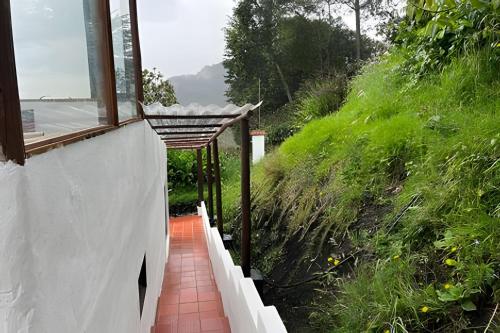 a walkway leading up to a house with a window at La casa del cielo in Subachoque