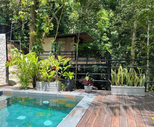 a backyard with a swimming pool and potted plants at Rincon de la Sierra Minca in Minca