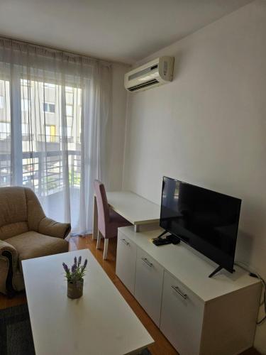 Μια τηλεόραση ή/και κέντρο ψυχαγωγίας στο Apartment Filip
