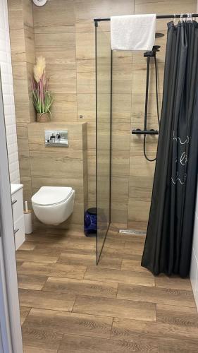 a bathroom with a toilet and a glass shower at Apartamenty Paradise in Tupadła