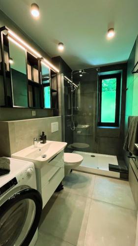 a bathroom with a sink and a toilet and a shower at Adventourist - Apartmán Terchová in Terchová