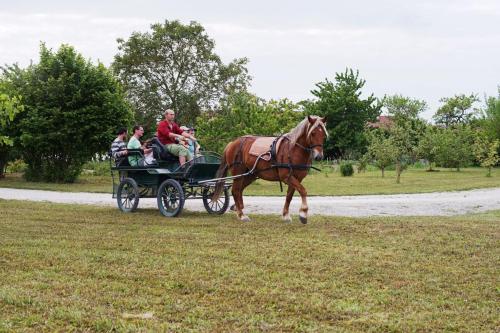 Επισκέπτες που μένουν στο Le chalet dans la prairie