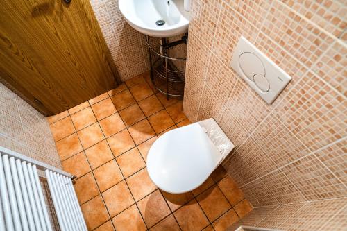 a bathroom with a toilet and a sink at Apartment Tatry Comfort - Tatranská Lomnica in Vysoké Tatry