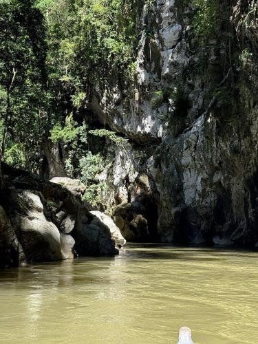 a river with some rocks and some water and trees at Tortugal Boutique River Lodge in Rio Dulce