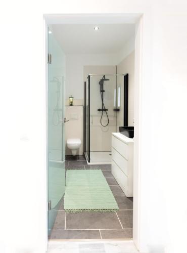 a bathroom with a glass shower and a toilet at Apartment am Bödele in Telfes im Stubai