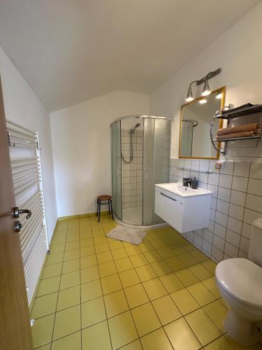 a bathroom with a shower and a sink and a toilet at penzion LILIE in Litomyšl