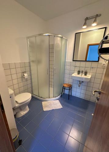 a bathroom with a shower and a toilet and a sink at penzion LILIE in Litomyšl