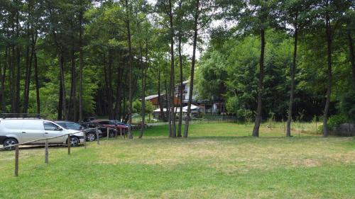 a group of cars parked in a park with trees at Moara Viselor in Vaideeni