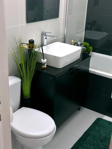 a bathroom with a white sink and a toilet at Zara’s Home Apartaments in Petroşani