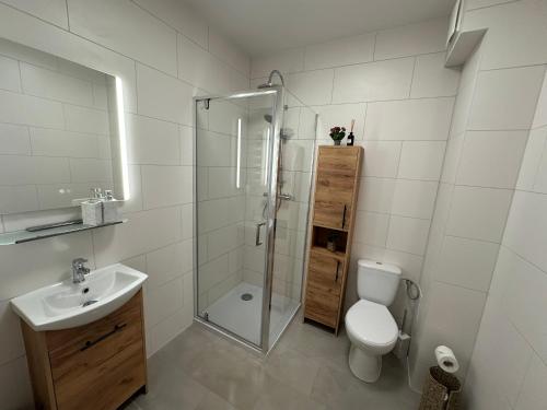 a bathroom with a shower and a toilet and a sink at Dune & Sea in Ustronie Morskie