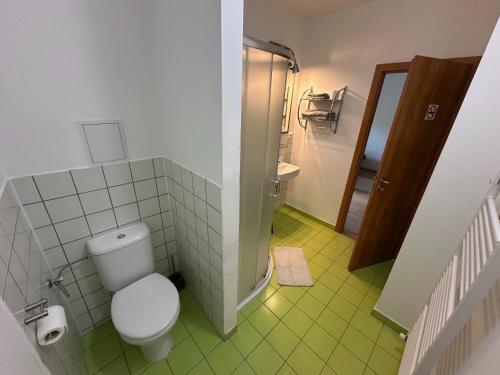 a bathroom with a toilet and a green floor at penzion LILIE in Litomyšl