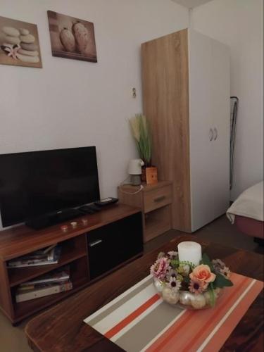 Télévision ou salle de divertissement dans l'établissement Apartman "Vuković"