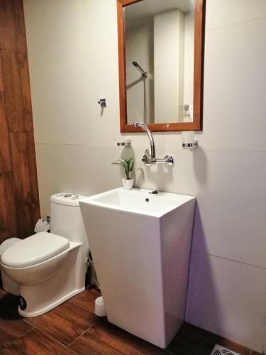 a bathroom with a sink and a toilet and a mirror at Departamento Glasé 1 in Tarija