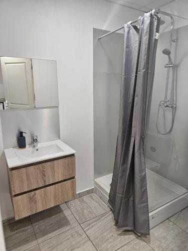 a bathroom with a shower and a sink and a tub at Appart n4 de 35m2 à 5min des plages et de la ville in Saint-François