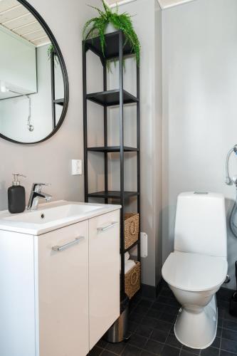 a bathroom with a toilet and a mirror at Rukan Hurmos in Ruka