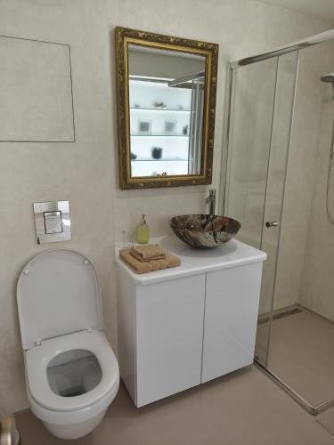 a bathroom with a white toilet and a mirror at Nature house Slavkov u Brna in Slavkov u Brna