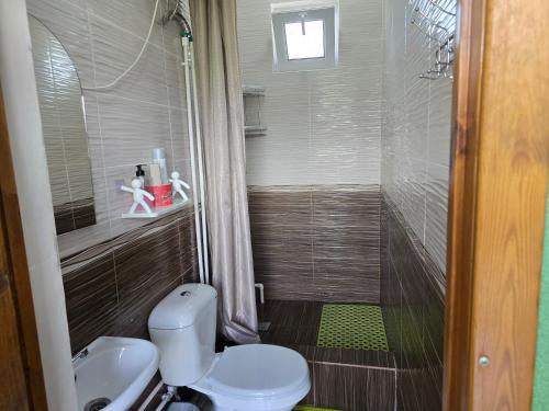 Koupelna v ubytování Olga Guest House
