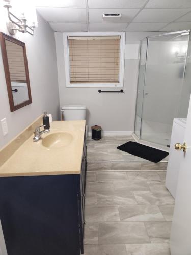 a bathroom with a sink and a shower at Appartement de la rive 2 in Shippagan