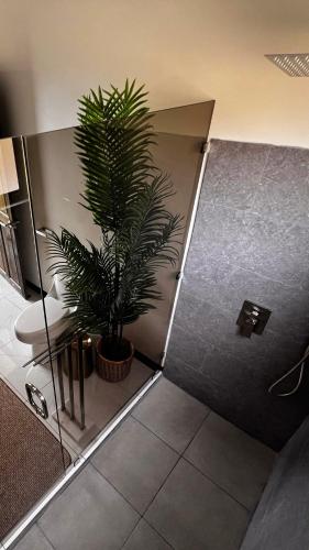 a bathroom with a toilet and a plant in it at Villa ViVe in Florencia