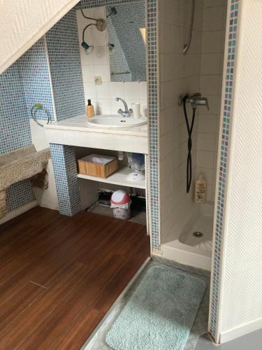 une petite salle de bain avec un lavabo et une douche dans l'établissement Au pied du Logis Royal, à Loches
