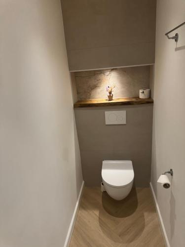 a bathroom with a white toilet in a room at B&B Groot Haasdal in Schimmert