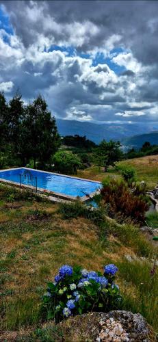 a swimming pool in the middle of a field with flowers at Casa do Monte in Castro Daire