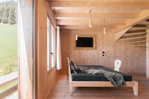 TV a/nebo společenská místnost v ubytování Eco Chalet Blasla