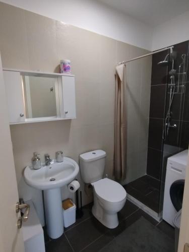 a bathroom with a sink and a toilet and a shower at U laguny 404 in Shëngjin