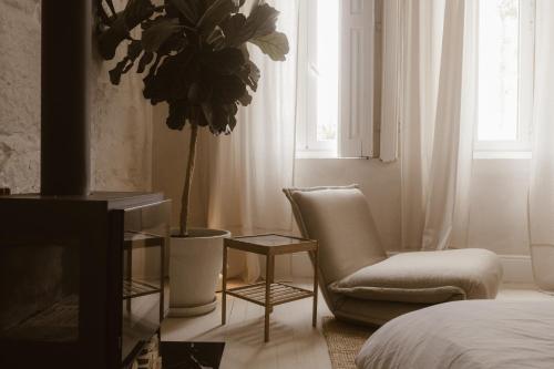 a living room with a chair and a potted plant at Beige Tranquil Escape by the Sea in Matosinhos