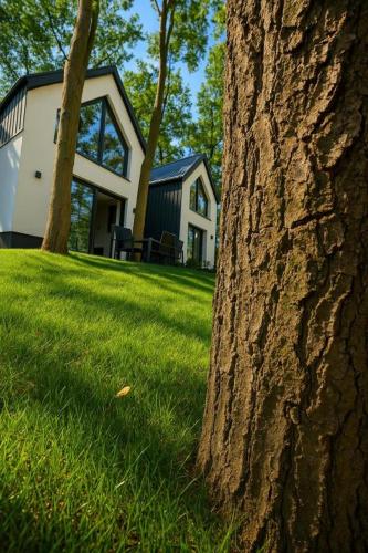a house with a tree in front of it at Treehouses in Skorochów