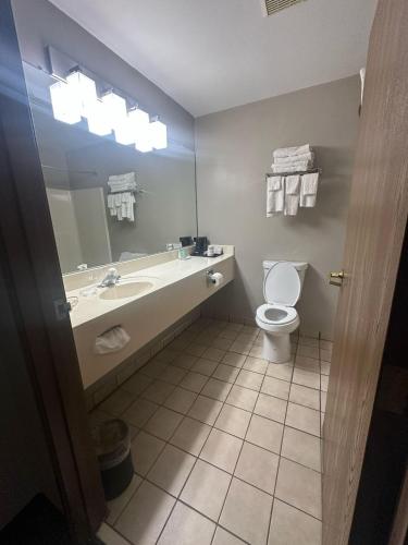 a bathroom with a sink and a toilet and a mirror at Hometown Inn Indian River in Indian River