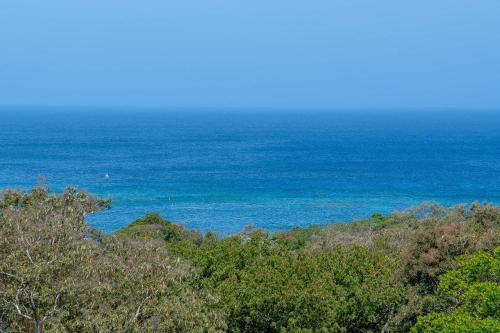 a view of the ocean from the top of a hill at Palm Luxury King Suite, Pool, ocean views, beach short walk West Bay West End in West Bay