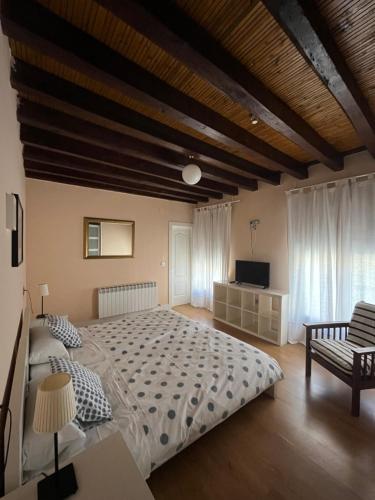 une chambre avec un grand lit et une télévision dans l'établissement Alojamientos Palacete, à Peñaranda de Duero