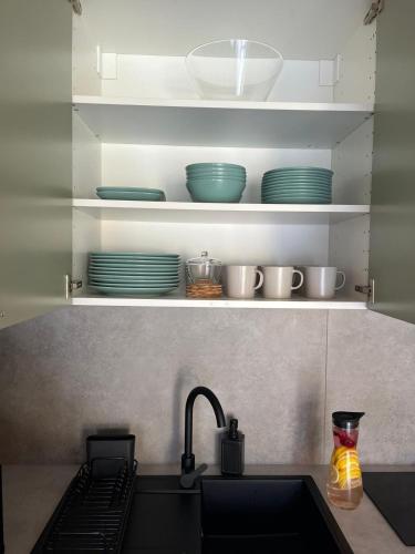 a kitchen with a sink and plates on shelves at Aster domki Sarbinowo in Sarbinowo
