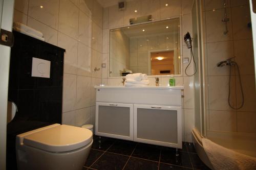 a bathroom with a shower and a toilet and a sink at Apartment Dalmatien Traumhaus in Makarska
