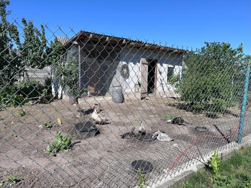 a chain link fence with chickens in a cage at Domek 8 osobowy in Wroceń