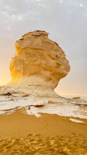 a rock in the sand on a beach at Oasis Panorama Hotel in Bawiti
