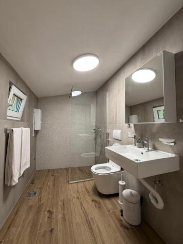 a bathroom with a sink and a toilet and a mirror at Apartmani Krsto in Kravlja
