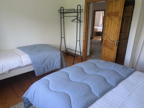 a bedroom with two beds and a closet with a door at Danesfort House in Balnacart