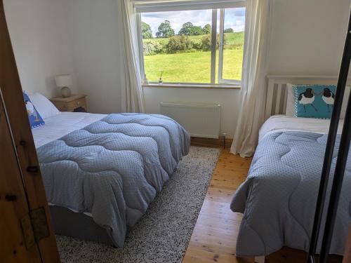 a bedroom with two beds and a window at Danesfort House in Balnacart