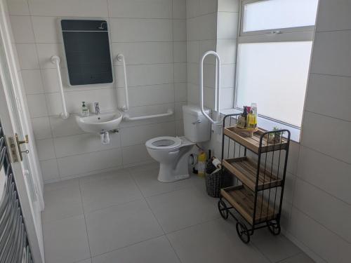 a white bathroom with a toilet and a sink at Danesfort House in Balnacart