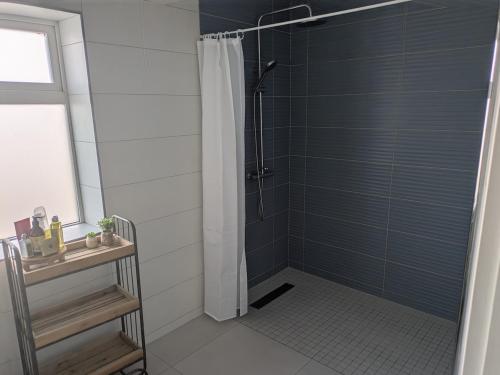 a bathroom with a shower with a shower curtain at Danesfort House in Balnacart