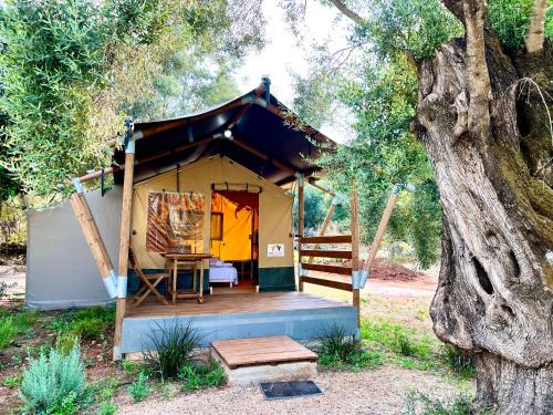 Gallery image of Nirikos Camping in Spasméni Vrísi