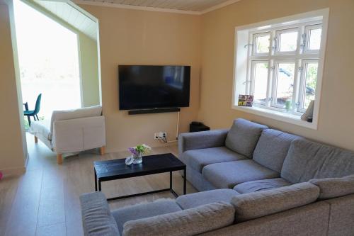 Una sala de estar con un sofá y un televisor. en Summer place by the river, en Drammen