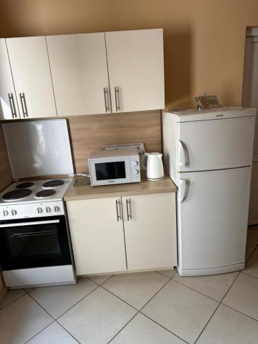 a kitchen with a white refrigerator and a microwave at Apartments Uno in Mostar