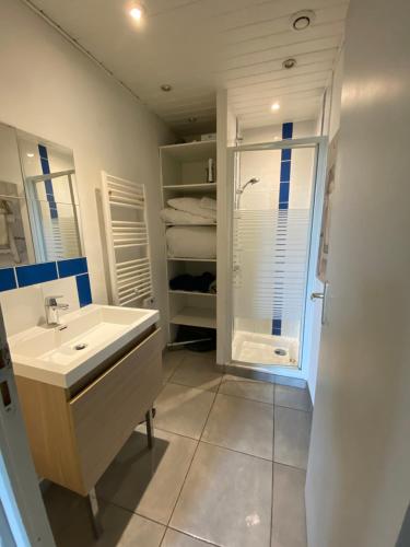 a bathroom with a sink and a shower at Appart 4 pers centre-ville Bayonne proche du Stade Jean Dauger in Bayonne