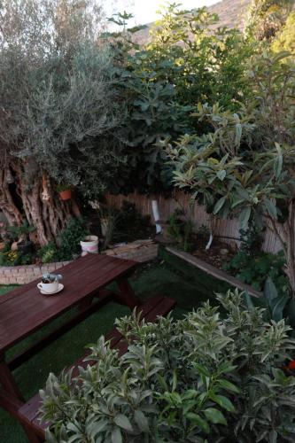 Olive tiny houseにある庭