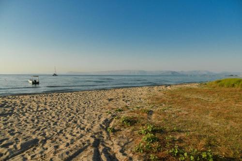 50 Steps From the Sea