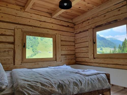 普拉夫Maslo的小木屋内一间卧室,设有两个窗户